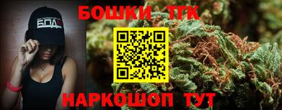 крисы Пенза