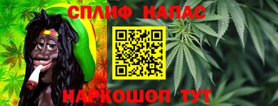 гашик Обнинск