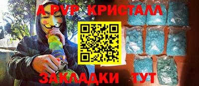 крисы Пенза