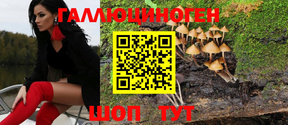 Псилоцибиновые грибы Psilocybe Полевской