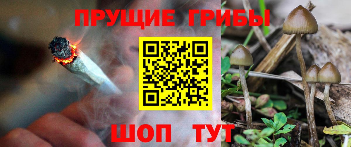 Полевской  где можно купить   Псилоцибиновые грибы GOLDEN TEACHER  Вход с VPN  Галлюциногенные грибы Magic Shrooms 